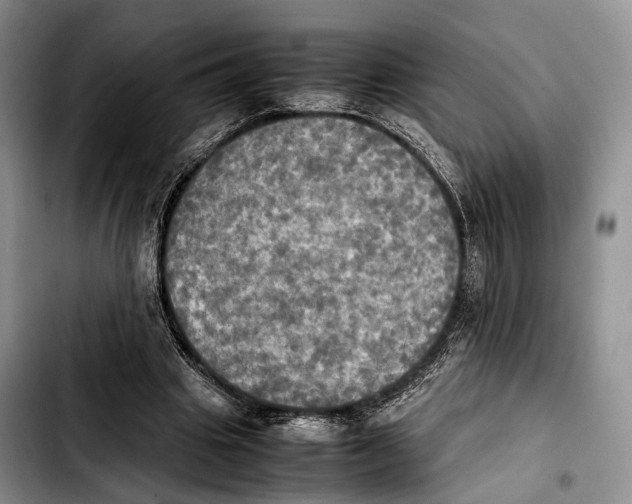 X0000103900441200810101249