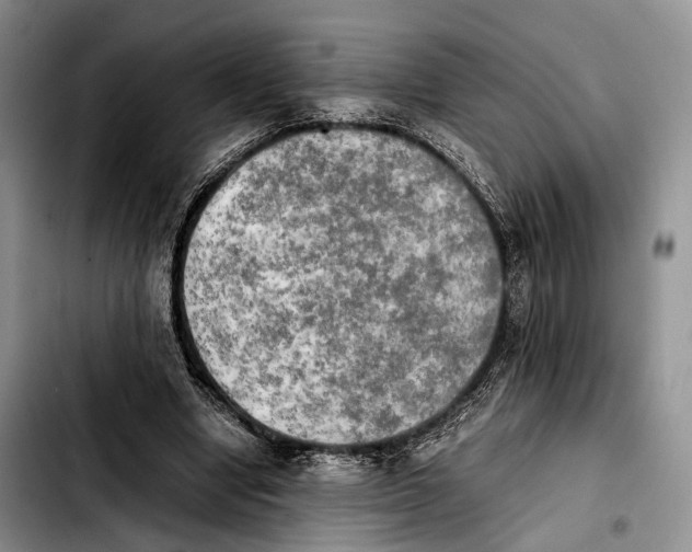 X0000103900442200810101249