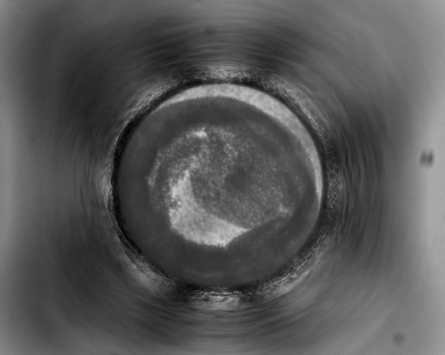 X0000103900443200810101249