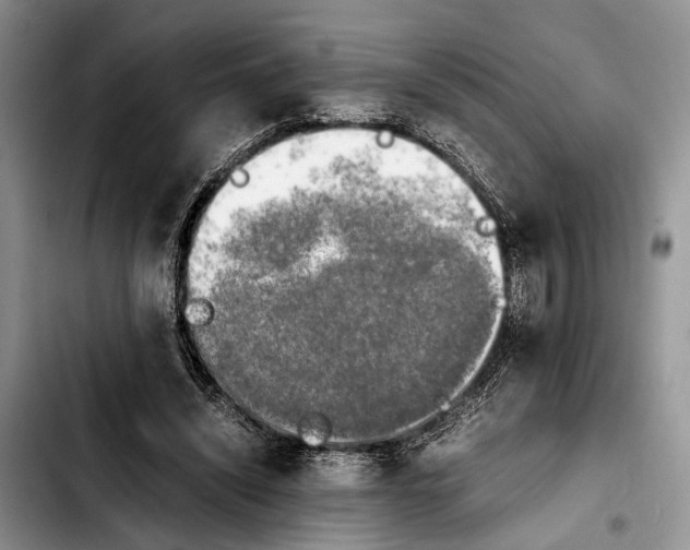 X0000103900444200810101249