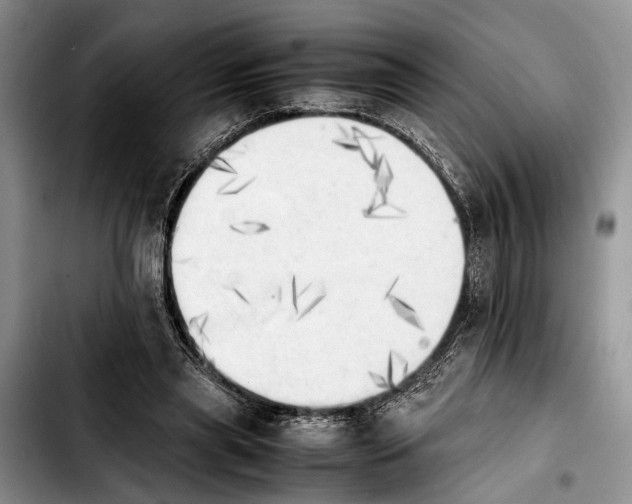 X0000103900445200810101249