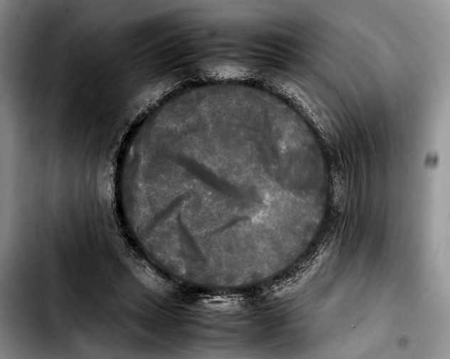 X0000103900447200810101249