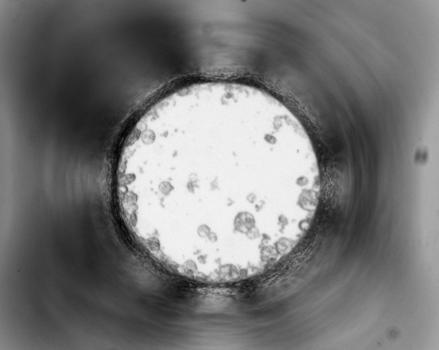 X0000103900448200810101249