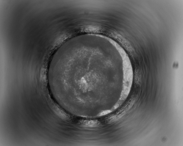 X0000103900449200810101249