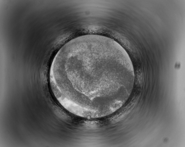 X0000103900450200810101249