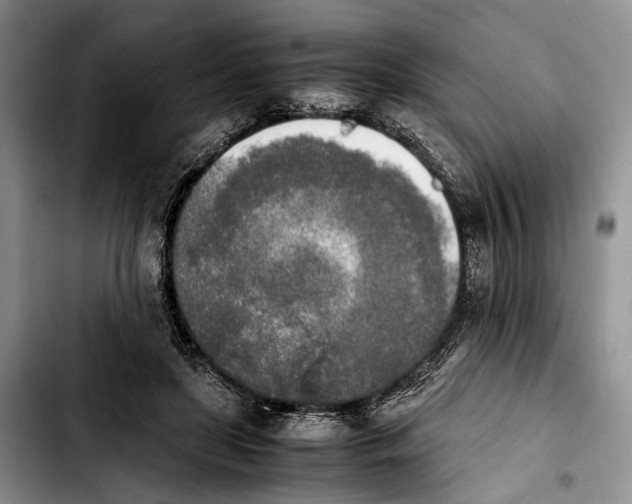 X0000103900451200810101249