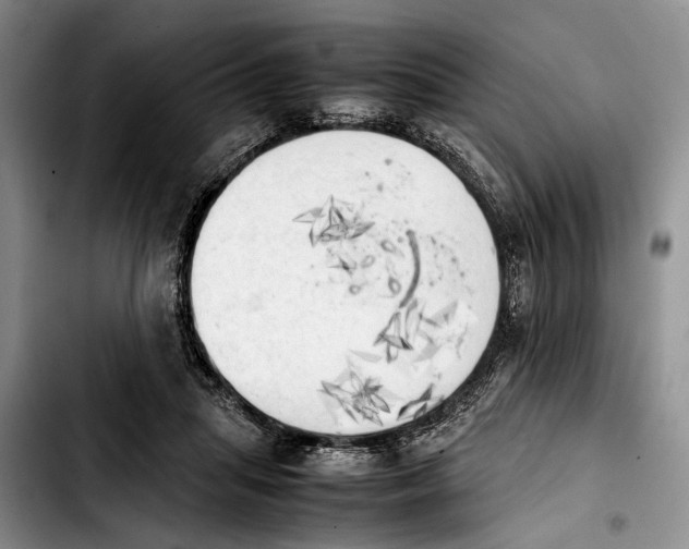 X0000103900455200810101249