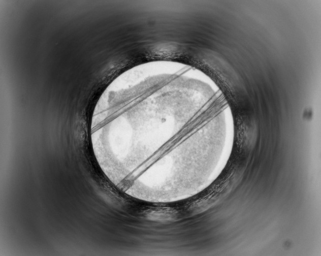 X0000103900459200810101249