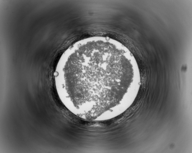 X0000103900460200810101249