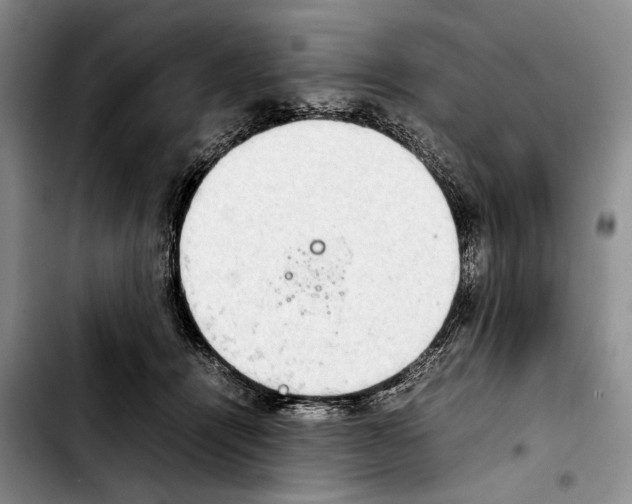 X0000103900464200810101249