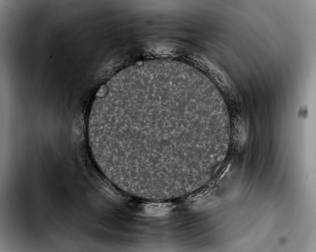 X0000103900465200810101249