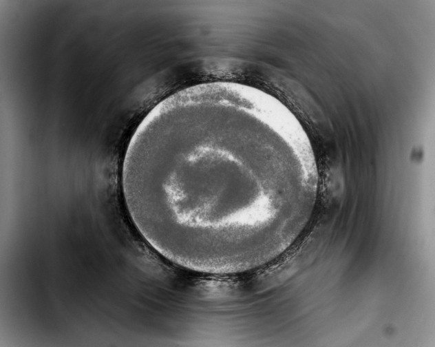 X0000103900466200810101249