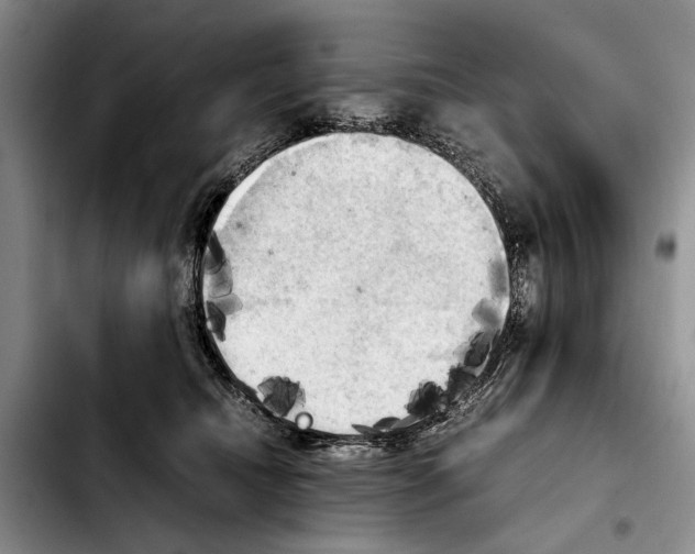 X0000103900468200810101249