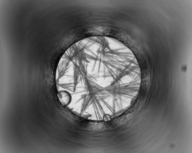 X0000103900469200810101249