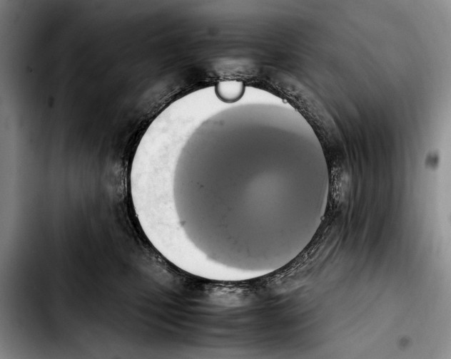 X0000103900471200810101249