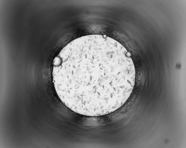 X0000103900473200810101249