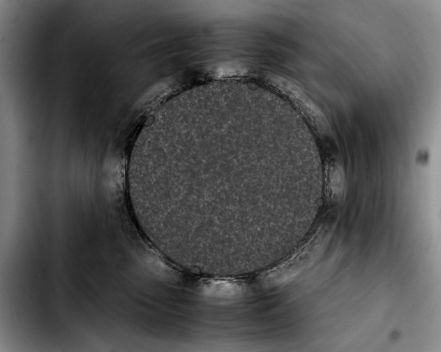 X0000103900475200810101249