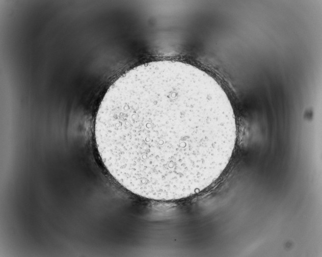 X0000103900476200810101249