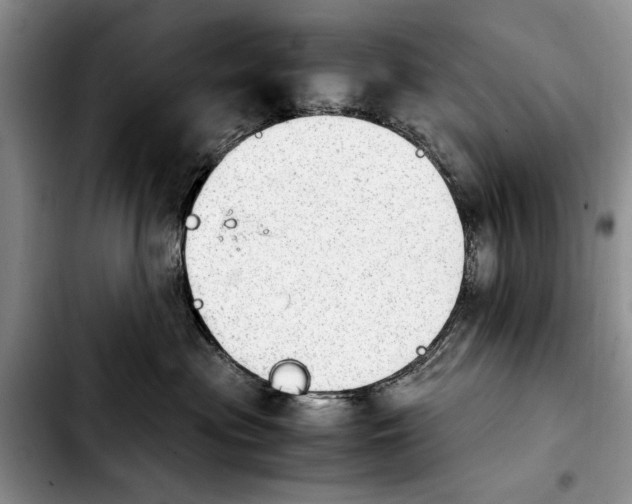 X0000103900477200810101249