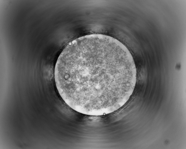 X0000103900478200810101249