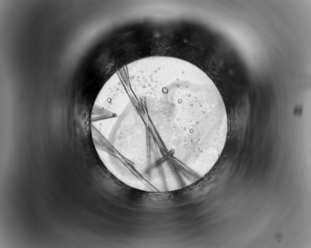 X0000103900479200810101249