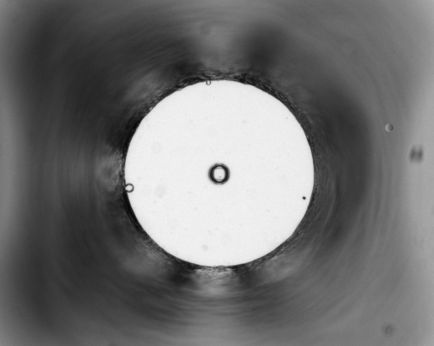 X0000103900480200810101249