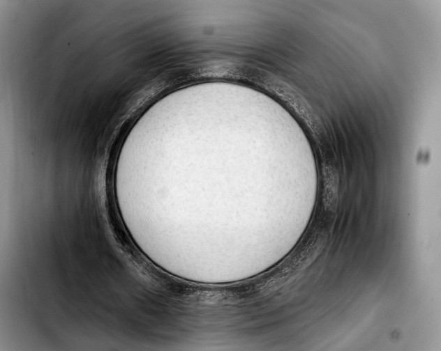 X0000103900482200810101249