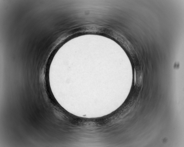 X0000103900483200810101249