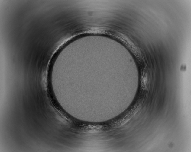 X0000103900484200810101249