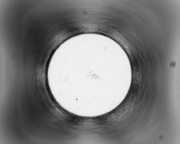 X0000103900485200810101249