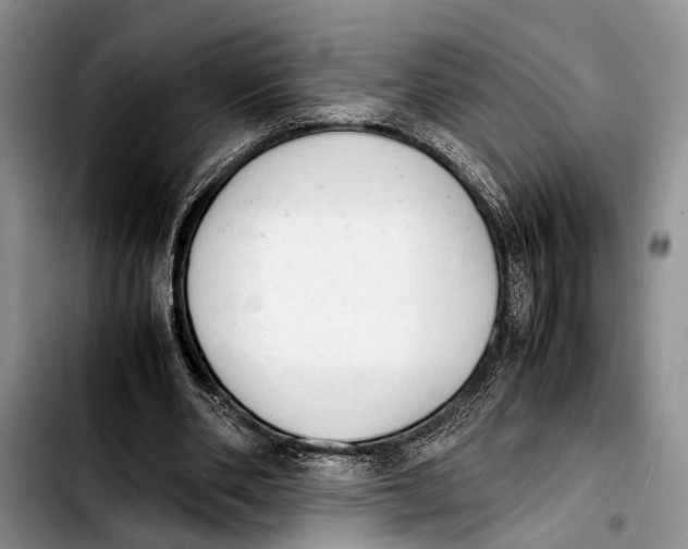 X0000103900486200810101248