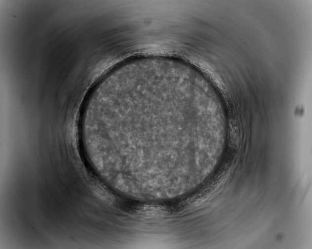 X0000103900487200810101248