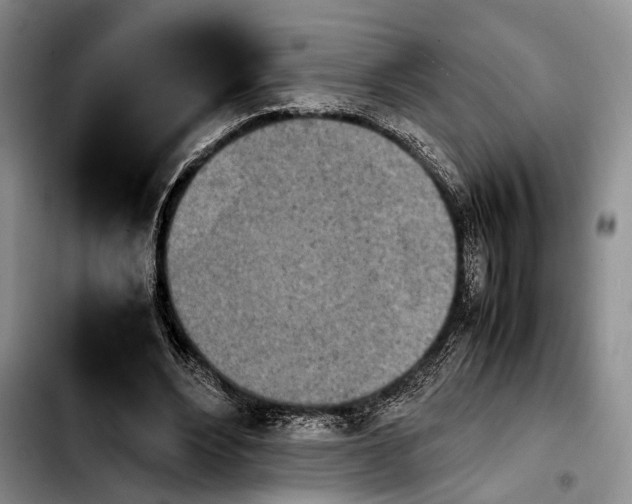 X0000103900488200810101248