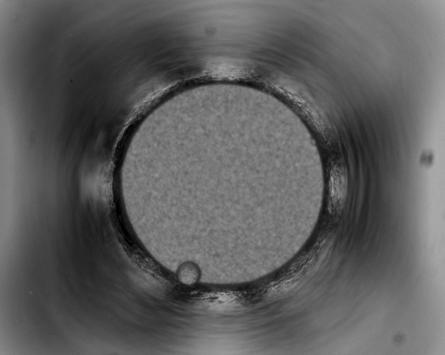 X0000103900492200810101248