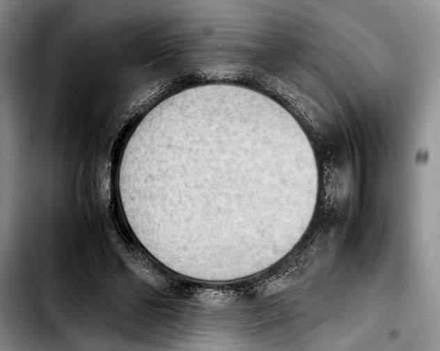 X0000103900494200810101248