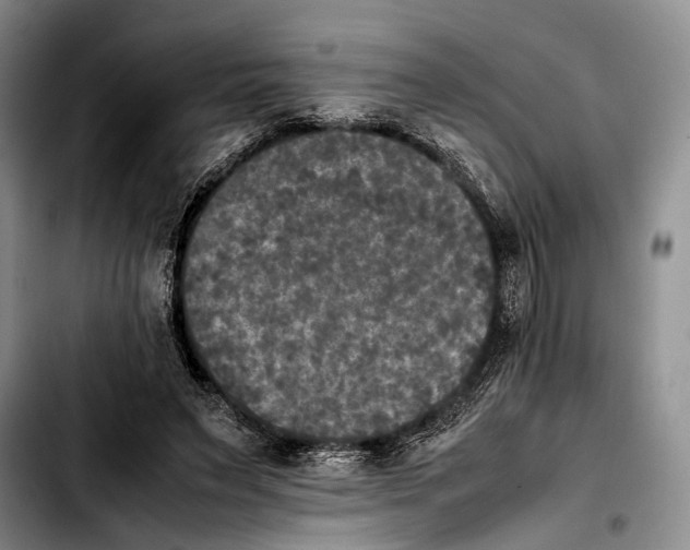 X0000103900495200810101248