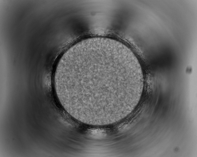 X0000103900500200810101248