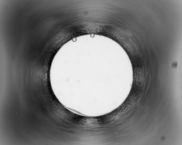 X0000103900501200810101248