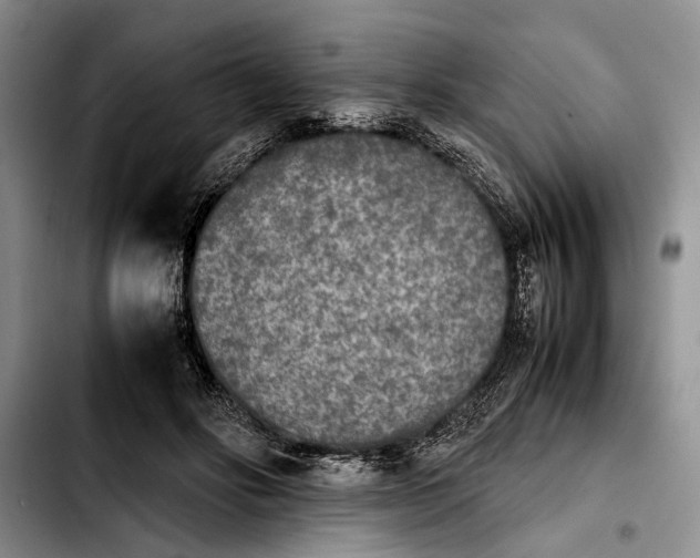 X0000103900502200810101248