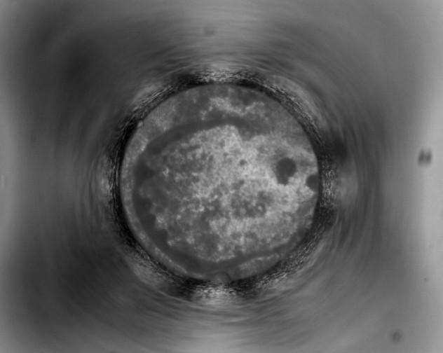 X0000103900503200810101248