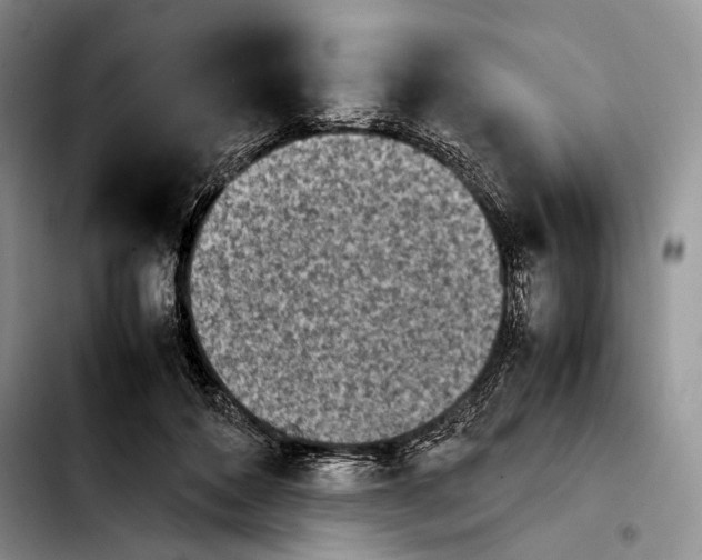 X0000103900504200810101248