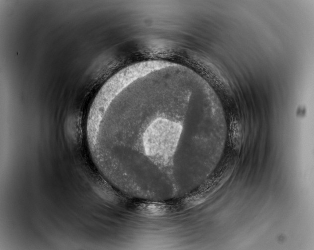 X0000103900506200810101248