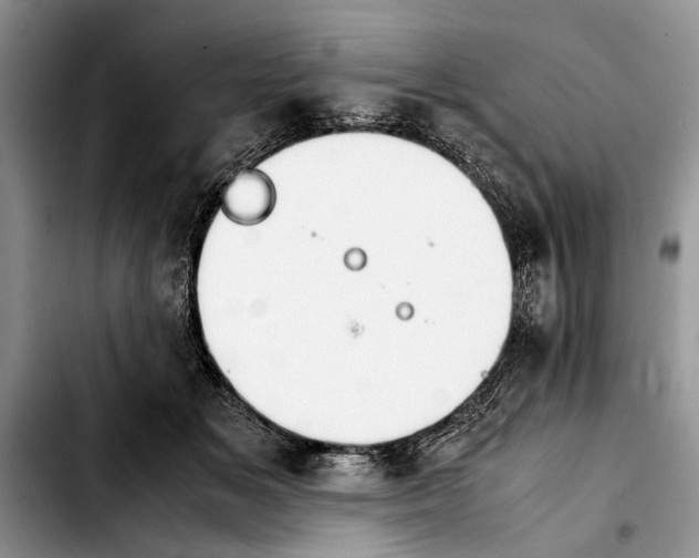 X0000103900509200810101248