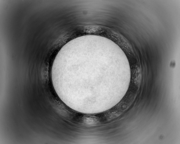 X0000103900510200810101248