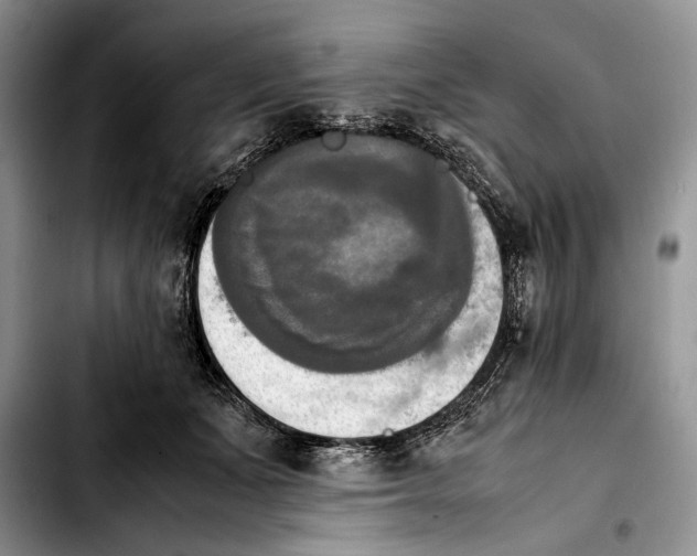 X0000103900511200810101248