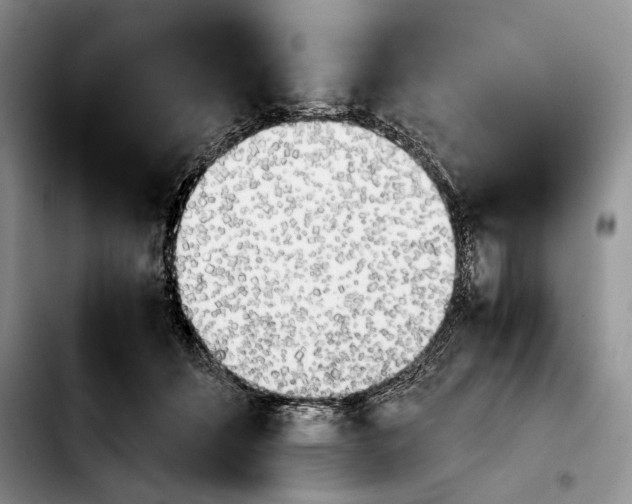 X0000103900512200810101248