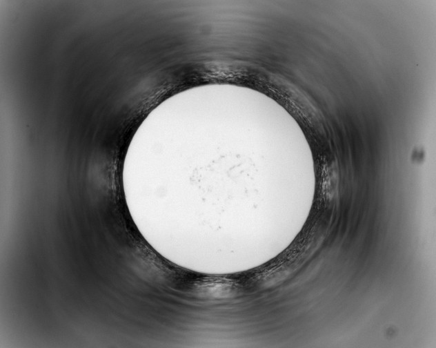 X0000103900514200810101248