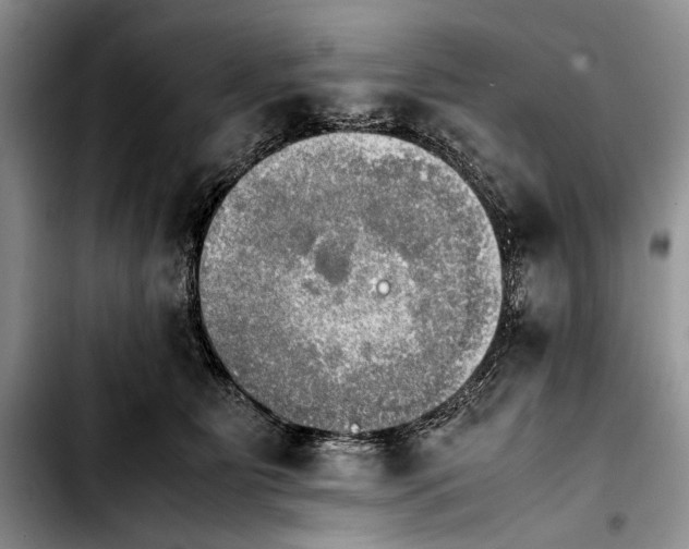 X0000103900515200810101248