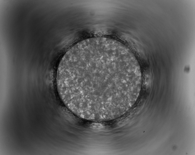 X0000103900519200810101248