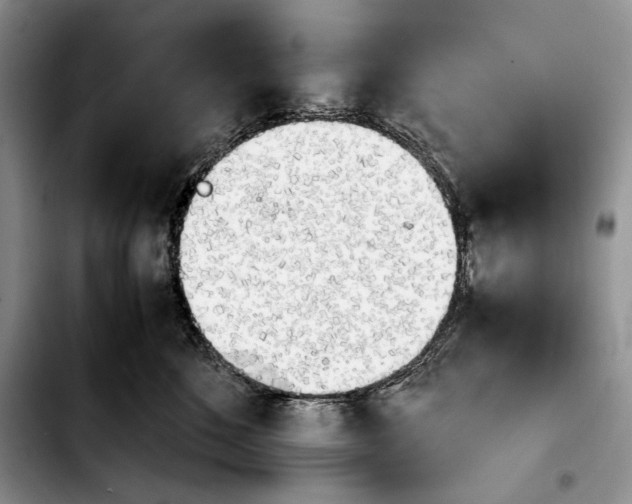 X0000103900520200810101248